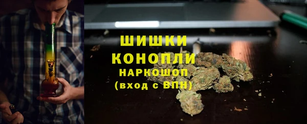 мдпв Новозыбков