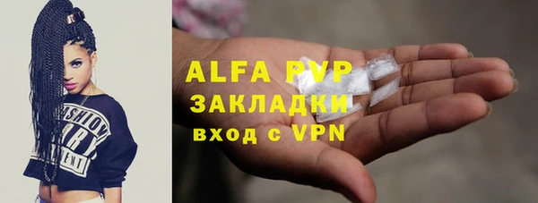 спиды Богородицк