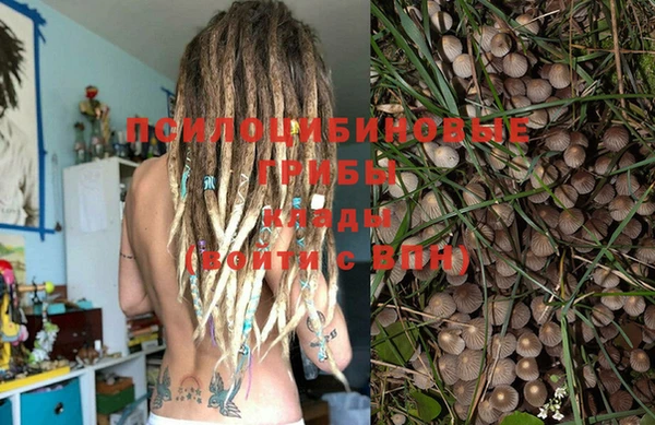 мдпв Новозыбков