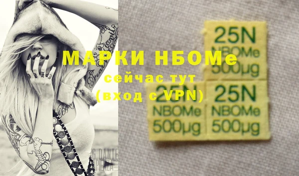 бошки Новодвинск