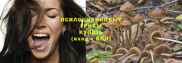 дурь Нея
