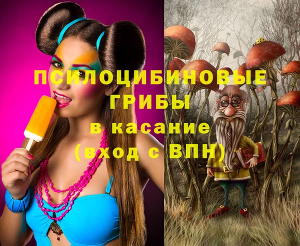 дурь Нея