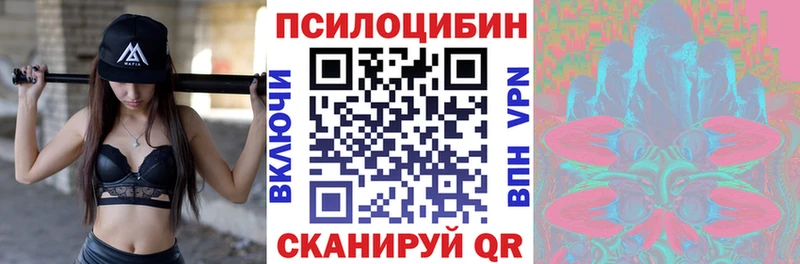 Галлюциногенные грибы Psilocybe omg вход Куртамыш закладки