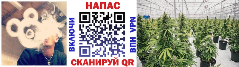 наркошоп  Куртамыш  blacksprut   Бошки Шишки индика 